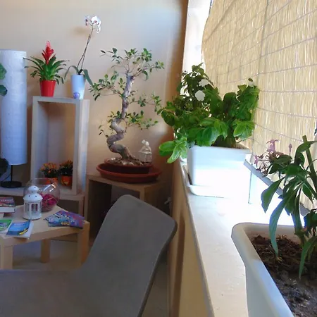 Le Isole Apart Otel 4*